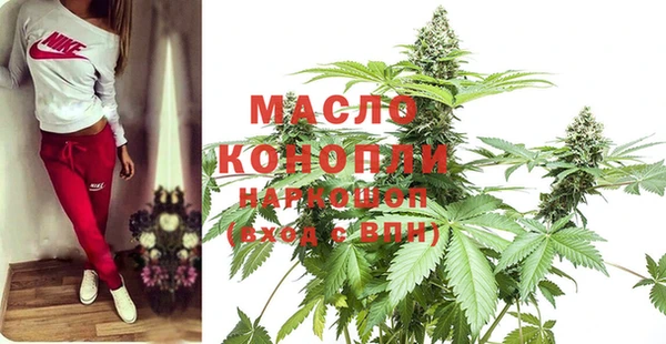 молекула духа Балахна