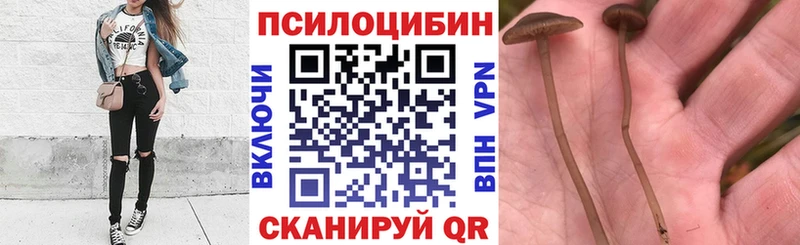 ОМГ ОМГ маркетплейс  Семикаракорск  Псилоцибиновые грибы прущие грибы 